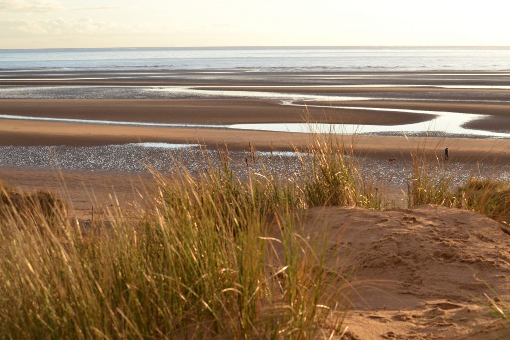 Sand Dunes