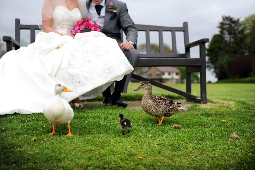 Ribby Hall Village weddings