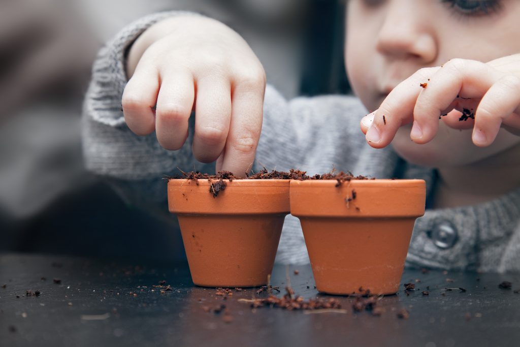 Little Green Fingers