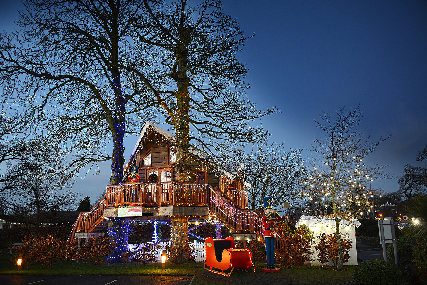 Tree House Lights