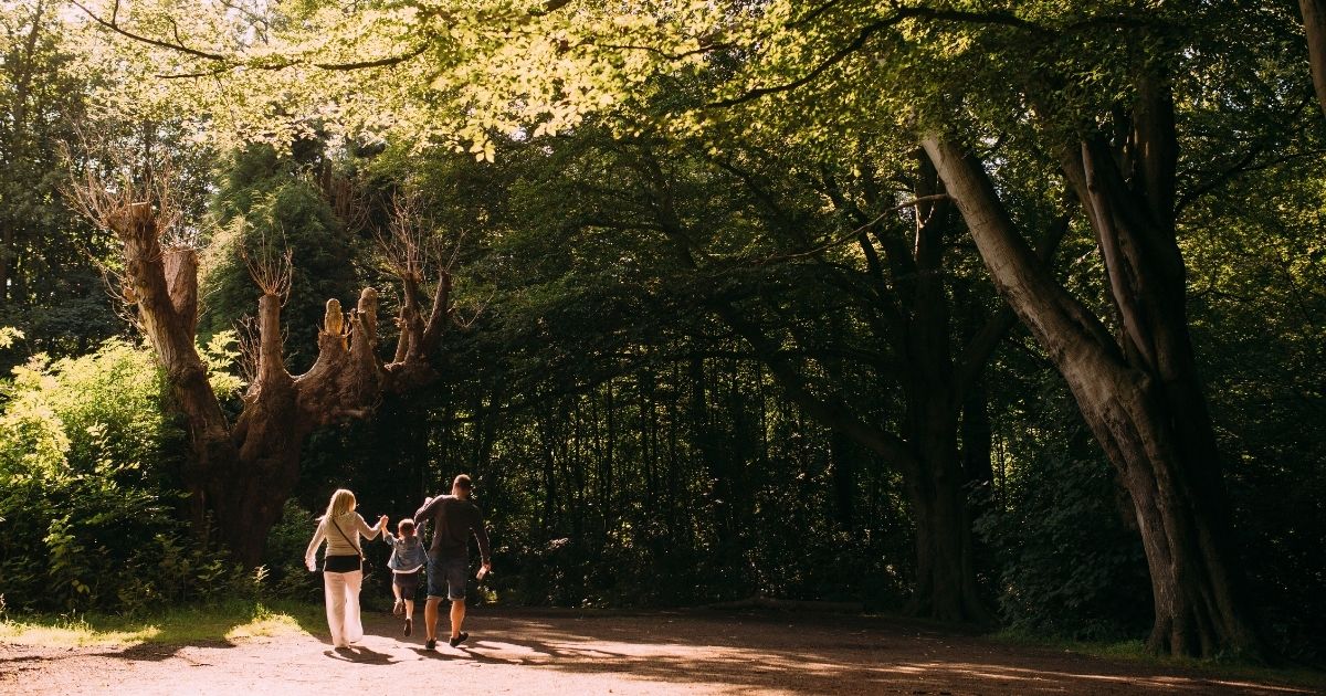 Woodland Trail 